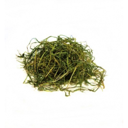 Factoryherbs SIANKO TYMOTKOWE 500g (SIANO,TYMOTKA)